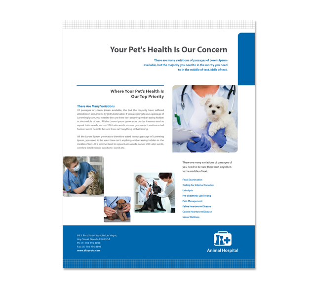 Veterinarians Flyer Template