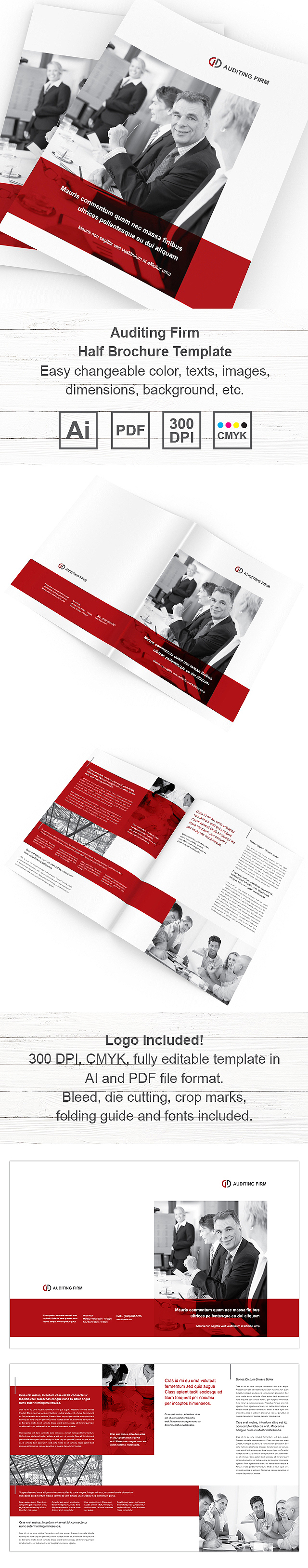 Auditing Firm Half Fold Brochure Template