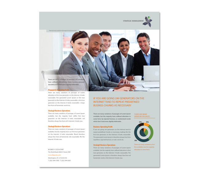 Strategic Management Flyer Template