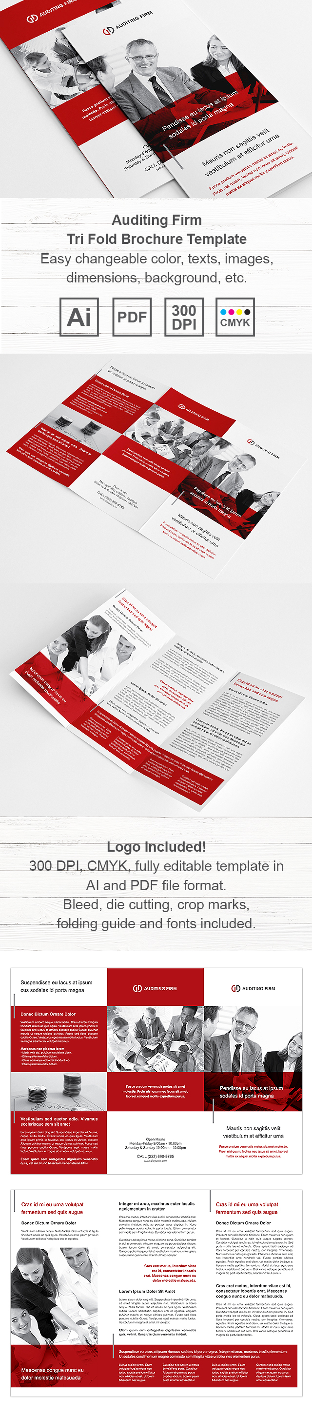 Auditing Firm Tri Fold Brochure Template