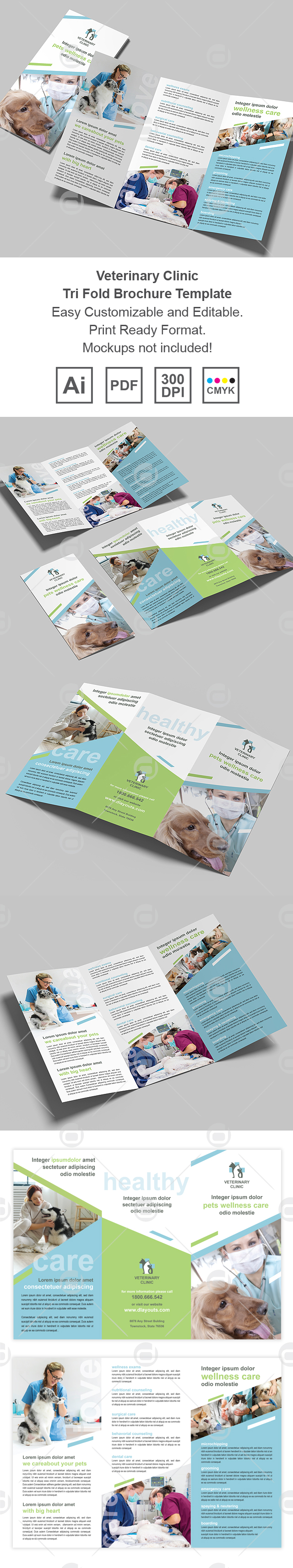 Veterinary Clinic Tri Fold Brochure Template